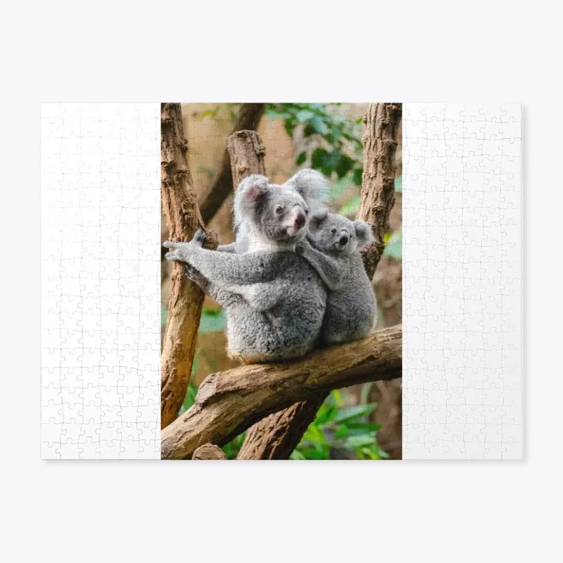 Koala Merchandise